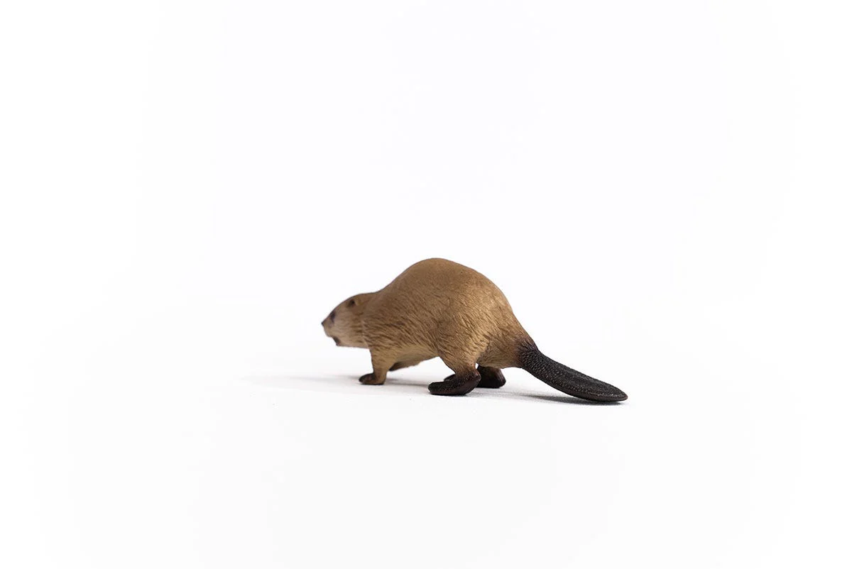Bever - Image 2