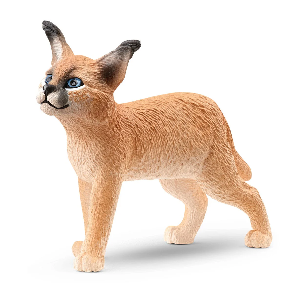 Caracalwelpje