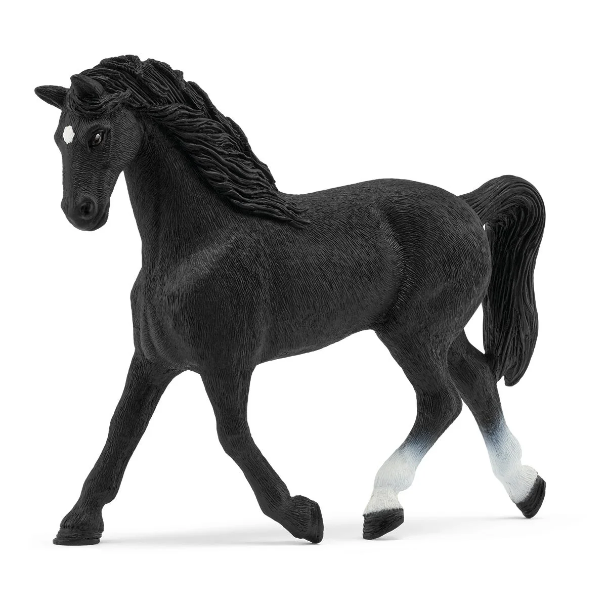 Holsteinmerrie