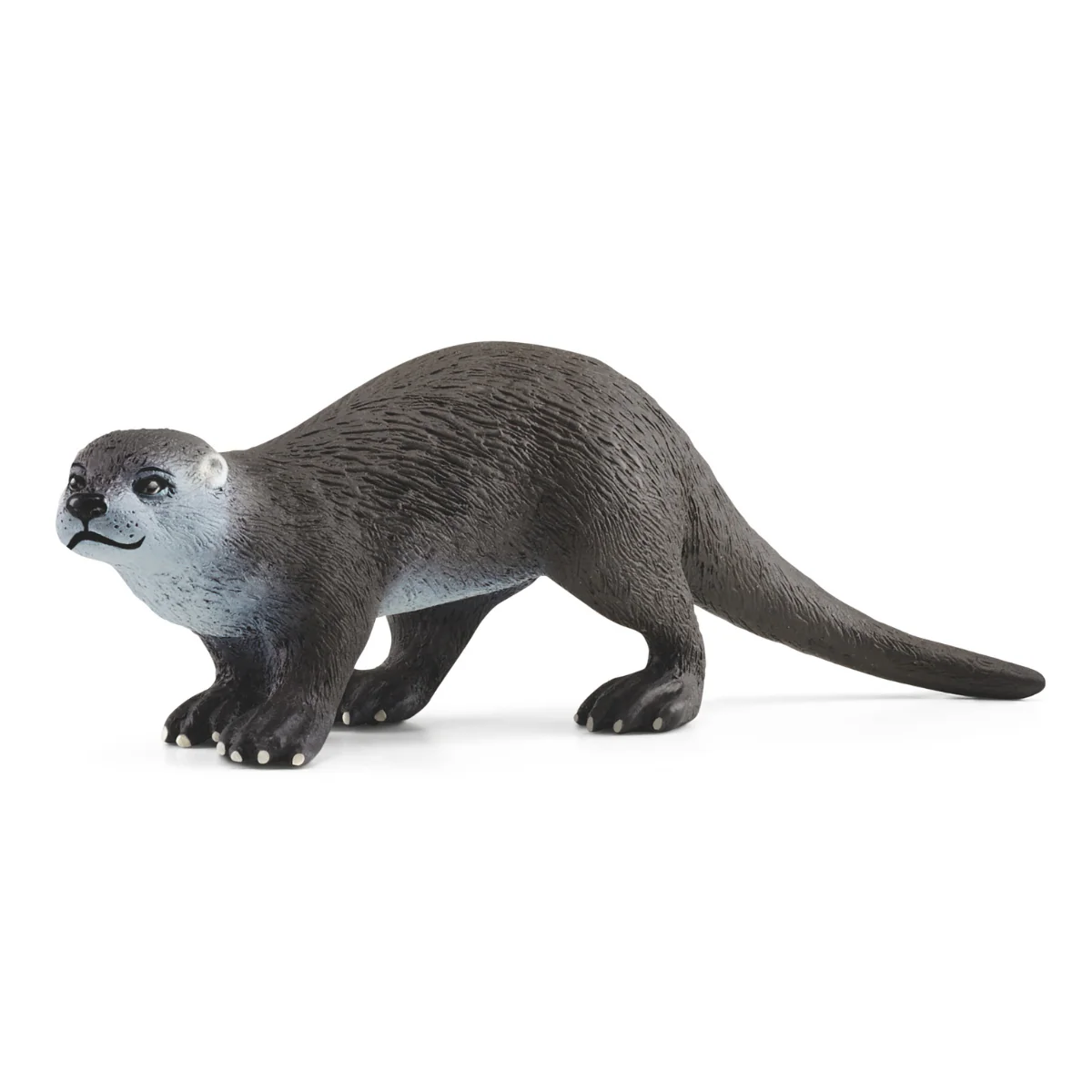 Otter (Bundle)