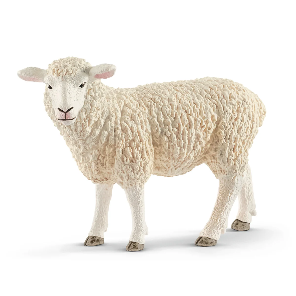 Schaap (Bundle)
