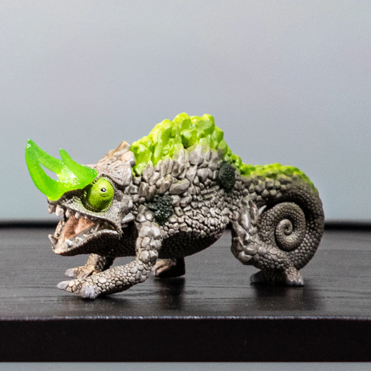 Steenkameleon - Image 2