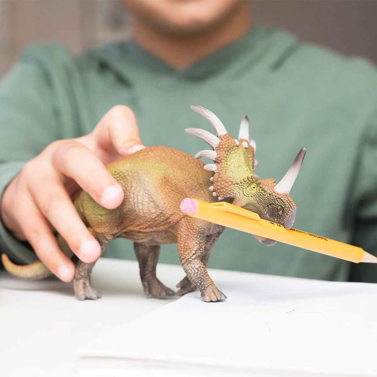 Triceratops - Image 5