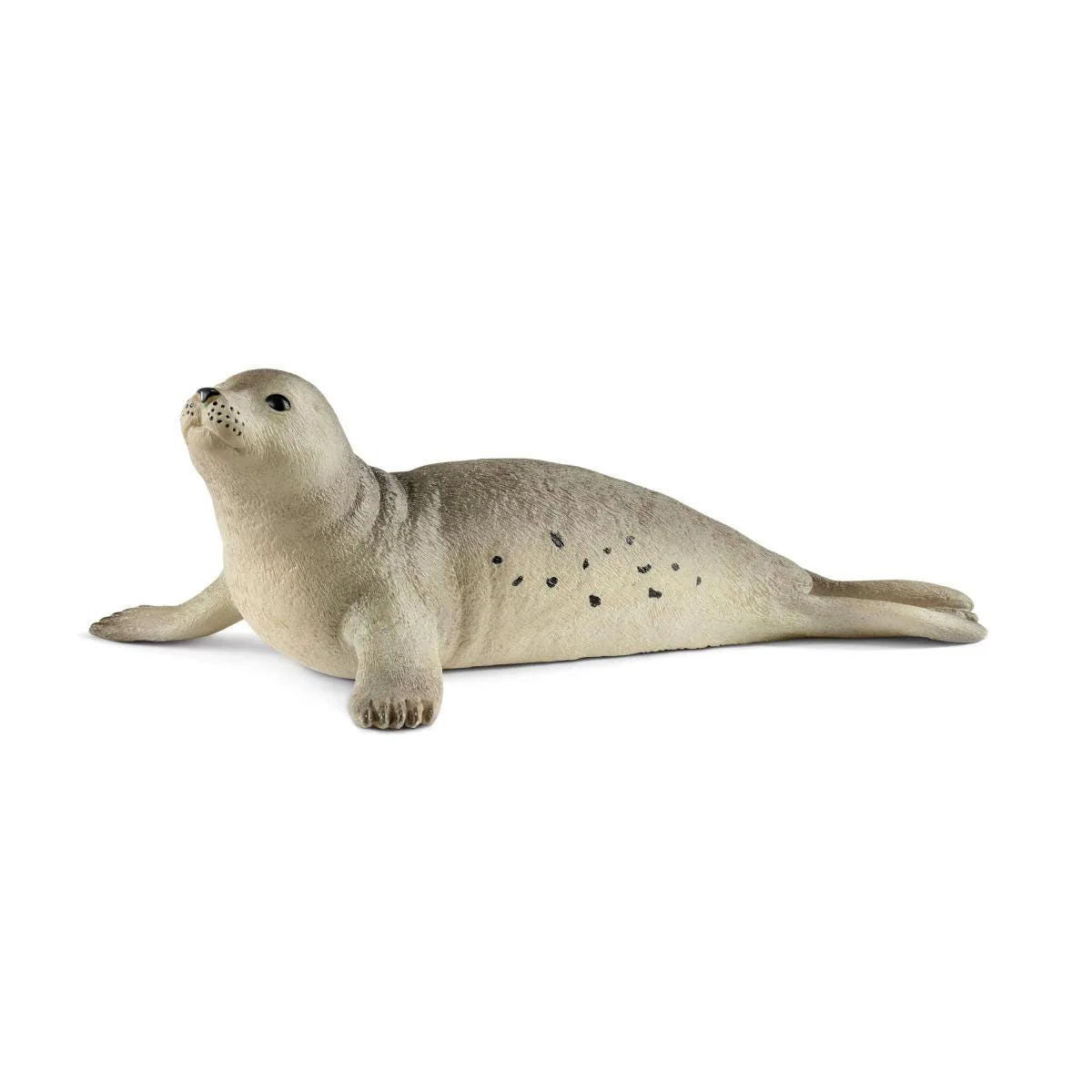 Zeehond (bundle)